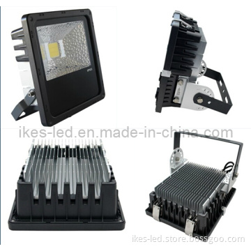LED Floodlight (IL-FL80P50)